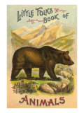 Bear on Book Cover