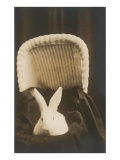 Rabbit in Pram