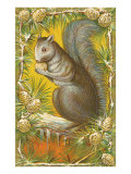 Squirrel in Pine Cones