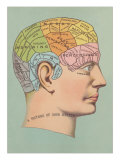 Phrenology Chart of Head