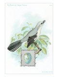 Mockingbird and Egg