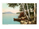 Birch Trees by Lake