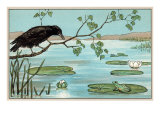 The Crow and the Frog