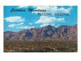 Catalina Mountains  Tucson  Arizona
