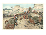 Hopi Indian in Petrified Forest  Arizona