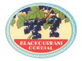 Blackcurrant Cordial Label