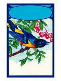 Bluebird in Cherry Tree