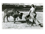 Conchita Cintron Killing Bull