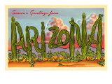 Seasons Greetings from Arizona  Saguaros