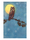 Owl with Full Moon