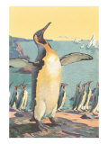 Penguins