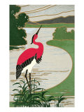 Red-Backed Heron