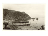 Catalina Harbor