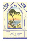 Season's Greetings from California  Torrey Pine