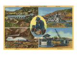 Gold Mining Scenes in California