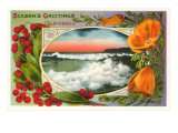 Season's Greetings  California Surf  Poppies