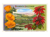 Seasons Greetings  Cal Poly