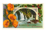 Poppies  Waterfall  Season's Greetings from California