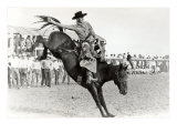 Bucking Bronco Photo