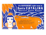 Ticket to Santa Catalina