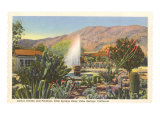 Cactus Garden  Palm Springs  California