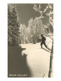 Cross Country Skier  Bear Valley