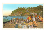 Avalon Beach  Santa Catalina