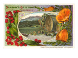 Season's Greetings  Santa Barbara