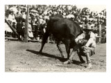 Steer Wrestling