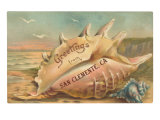 Conch Shell Greetings from San Clemente