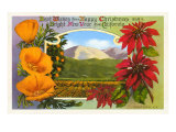 Season's Greetings  Ventura  Poppies  Poinsettias