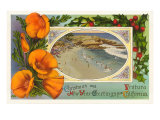 Season's Greetings from Ventura  California  Beach