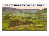 Greetings from Cal Poly  San Luis Obispo