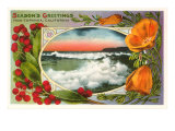 Season's Greeting from Topanga  California  Surf