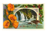 Season's Greetings from Topanga  California
