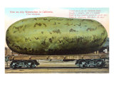 Giant Watermelon on Train Car  Anaheim