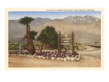 Smoke Tree Ranch  Palm Springs  California