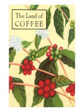Land of Coffee  Beans