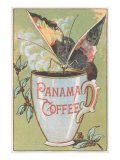 Butterfly Drinking Panama Coffee