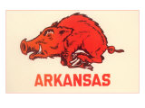 Arkansas Running Razorback