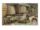 Wine Storage  Illustration