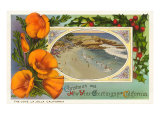 California Christmas  La Jolla Cove