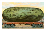 A California Watermelon  on Flatbed Train Car