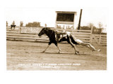 Woman Trick Rider