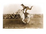 Woman Trick Rider