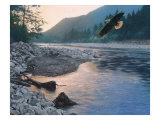 Edge of Tranquility
