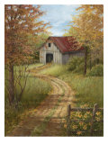 Roadside Barn