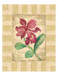 Belle Fleur IV