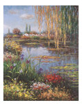 White Rose Garden