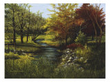 Stony Creek